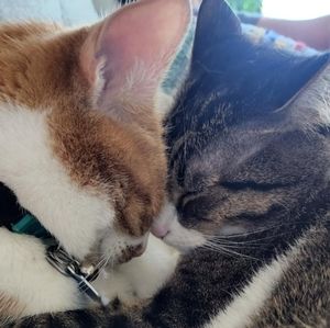 Meet your Posher, Eliza